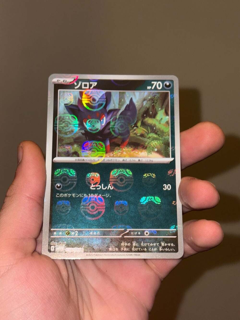 Zorua 058/086 Japanese Master Ball Reverse Holo - Scarlet & Violet White Flare